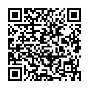 处理生物系的数据或者处理物理系的数据都没有多少区别二维码生成