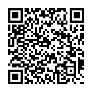 备注里的ps算什么意思啊……程序员的自我吐槽吗二维码生成
