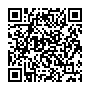 复仇者号驶向了已经彻底失去行动能力的第一川玉丸二维码生成