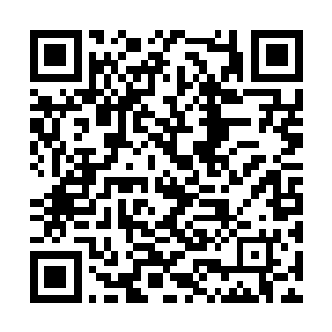 复仇者联盟的两位界主和那一大群域主挡住了退路二维码生成