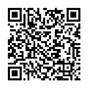 复旦大学的队员从来都不会因为任何事情而放松警惕二维码生成