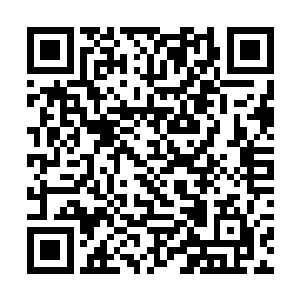 夏云杰一个连环腿相当于至少放倒了二十来个小伙子二维码生成