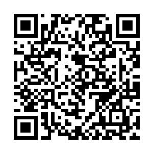 夏云杰一进来个个都用充满好奇的目光上下打量着他二维码生成