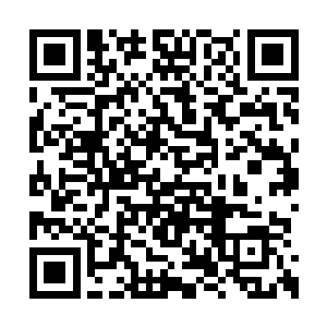 夏云杰不可能为了一颗彗星而动用紫府仙婴之力二维码生成