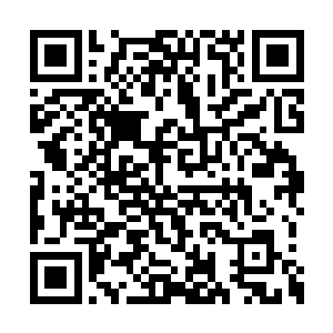 夏云杰不禁被自己估算出来的结果给吓了一大跳二维码生成