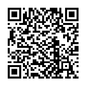 夏云杰也懒得再去管两个老家伙在背后说什么八卦了二维码生成