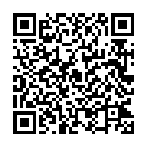 夏云杰便看到陆祥生陪同着周天一行人出现在了大厅门口二维码生成