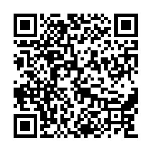 夏云杰便踩着自行车如一阵风一样穿过自行车道二维码生成