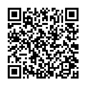 夏云杰倒也没想到这先天杨柳甘露竟然这般神奇厉害二维码生成