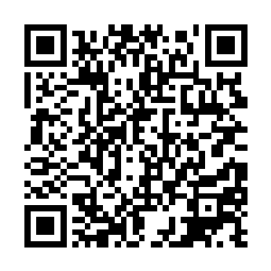 夏云杰其实也正是因为感觉到钟杨颖现在正在开会二维码生成