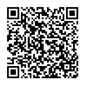 夏云杰冲港口里如鹤立鸡群般的那艘白色双体帆船型游艇指了指道二维码生成