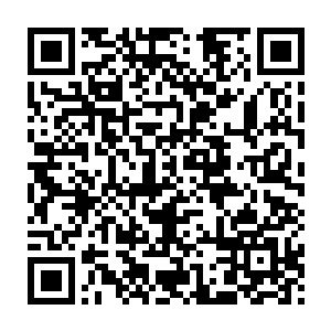 夏云杰又专门抽时间跟还在海州市开意大利餐厅的莫妮卡见了一面二维码生成