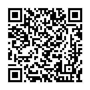 夏云杰又把客厅还有卫生间当然还有自己的房间二维码生成