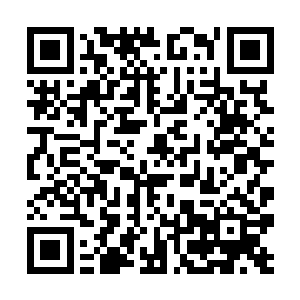 夏云杰又问了谢仲可有什么能改变凡人根禀的灵丹仙二维码生成