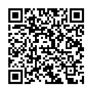 夏云杰和张文斌则拉着行李箱有说有笑地朝外走去二维码生成