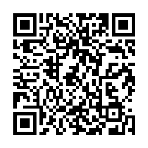 夏云杰平静而淡然的声音在空荡荡的中餐厅里突然响了起来二维码生成