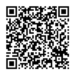 夏云杰强忍下内心将眼前这位勾人充满野性的小妖精揽入怀中的冲动二维码生成