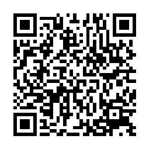 夏云杰感受到那如排山倒海般对着自己当头打来的金刚仵二维码生成