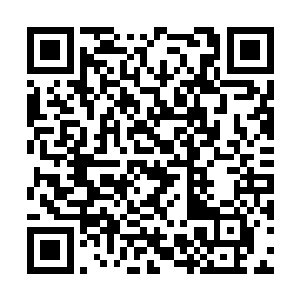 夏云杰才刚把用火炼化后的仙丹碎片打入骷髅念珠二维码生成