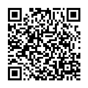 夏云杰本来还顾及到施雅倩总归曾经跟杨肖玫是同个公司的职员二维码生成