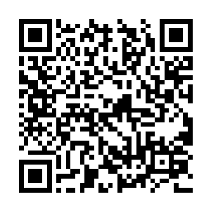 夏云杰眸子在黑夜中如同璀璨的星辰猛然亮了起来二维码生成