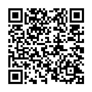 夏云杰见丁志江一边责骂还一边用手指头点着他的鼻子二维码生成