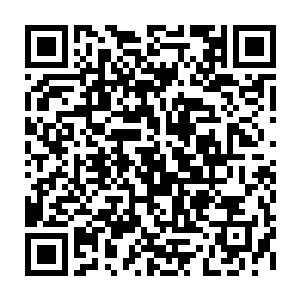 夏云杰见任可儿那从今晚见面开始就一直隐藏在眼眸里的悲伤总算消失不见二维码生成