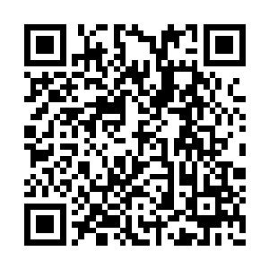 夏云杰见所有人的目光都开始往他们这边投过来二维码生成