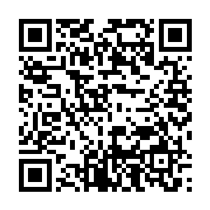 夏云杰见罗大伟这群本应该也跟他一样被审讯的嫌疑犯二维码生成