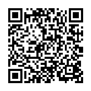 夏云杰还没从发现天命金线草的震惊中回过神来二维码生成