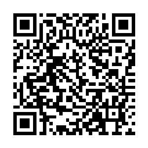 夏云杰这一敲便仿若一声惊雷在宋队长的脑海里响起二维码生成