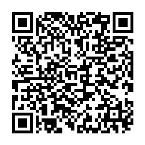 夏云杰这个小小中医的话显然没能引起飞机工作人员和马里奥保镖们的足够重视二维码生成