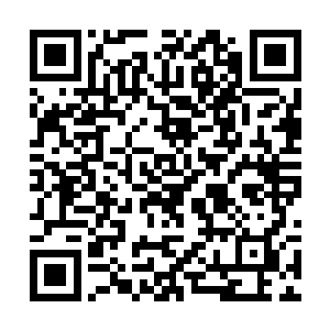 夏云杰锐利如鹰隼般的目光扫过脚下连绵不断的山脉二维码生成