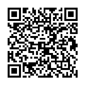 夏云杰闻言没好气地再次对着王志南的胸口给了一拳道二维码生成