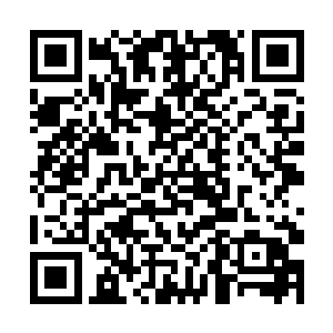 夏伯阳也利用近距离扫描的搞清楚了这些东西是什么二维码生成
