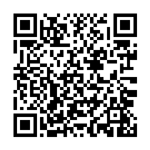 夏伯阳已经关掉了自己的味觉器官和模拟肠胃感觉的模块二维码生成