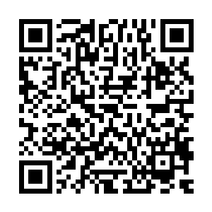 夏侯家族所掌控的地下势力立马能联系各方反对势力让天下大乱二维码生成