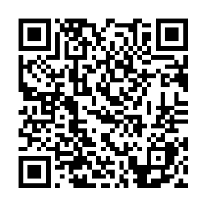 夏侯惇猛地举起龙牙精钢刃朝着高顺面容悍然劈落二维码生成