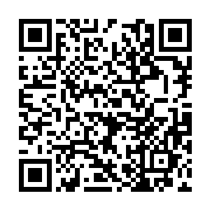 夏侯赢在这亮光中忽然眼尖地一眼看到地上那条蛇二维码生成