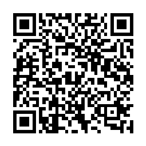 夏儿说完就不由分说地将白面手里的碗筷夺了下来二维码生成