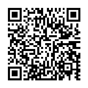 夏冬跟着夏秋屁股后面罗里吧嗦的问啥时候能拎着出去玩啊二维码生成