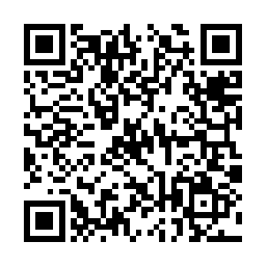 夏凝裳手忙脚乱地将杨开身上剩下的丹药掏了出来二维码生成