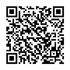 夏初七的视线从她的裙裾慢慢地挪到她略带嘲意的脸上二维码生成