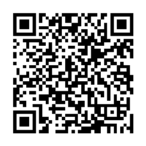 夏利魔王带着黑压压的魔灵来到了被三人屠杀一空的部落二维码生成