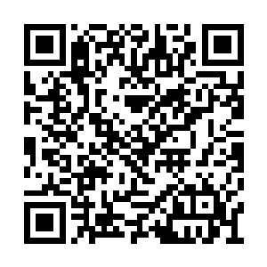 夏力行又带着一帮人向分管经济的副书记邵泾川二维码生成