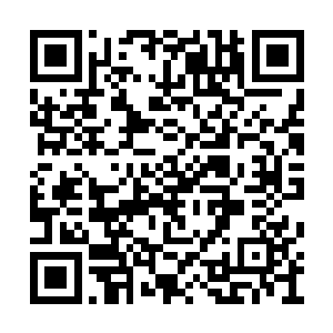 夏华指着那座气派的楼房笑着说那是村里的小学二维码生成