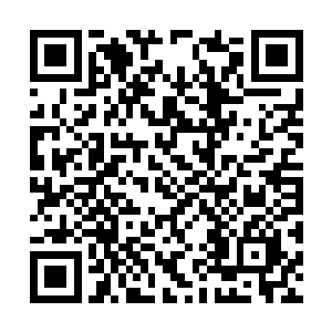 夏大哥不如和我说说关于深蓝神珠还有皇庭的消息二维码生成