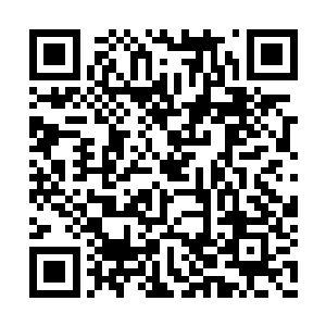 夏大长老真是不放过任何对自己有利的事情呀…二维码生成