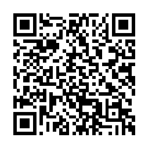 夏天一个回旋踢直接踢在了无极剑神的后背之上二维码生成