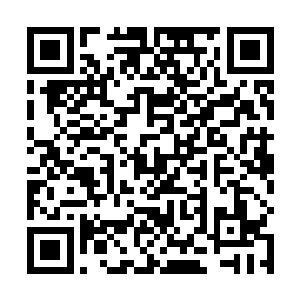 夏天一直都没有真正和帝级二十品高手正面抗衡的能力二维码生成